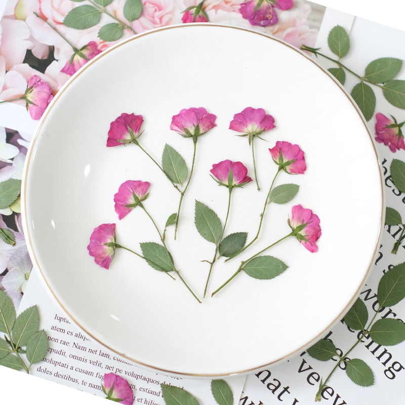 12pcs,Real Mini Rose Pressed F - Resin Art Rose Petals ulasan dan harga