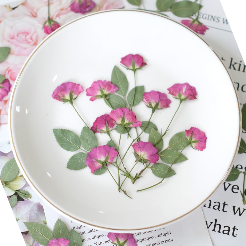 12pcs,Real Mini Rose Pressed F - Resin Art Rose Petals ulasan dan harga