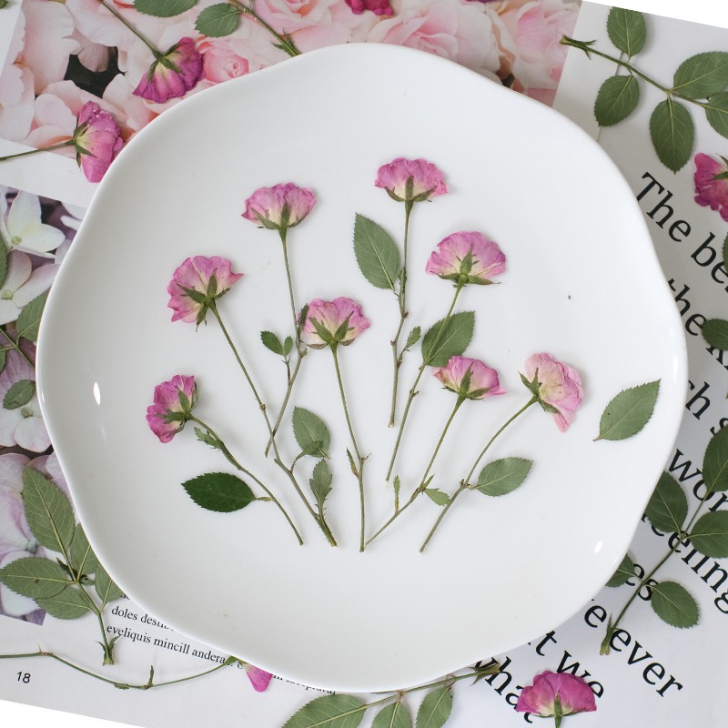 12pcs,Real Mini Rose Pressed F - Resin Art Rose Petals ulasan dan harga