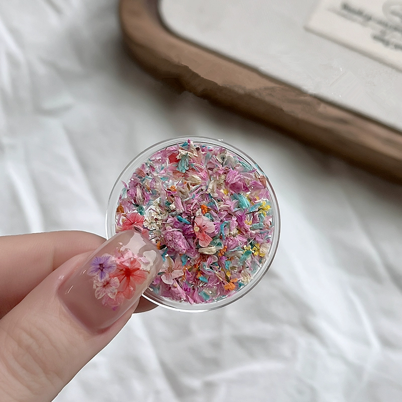 500 Dried Flowers Wholesale, V - Resin Art Instagram ulasan dan harga