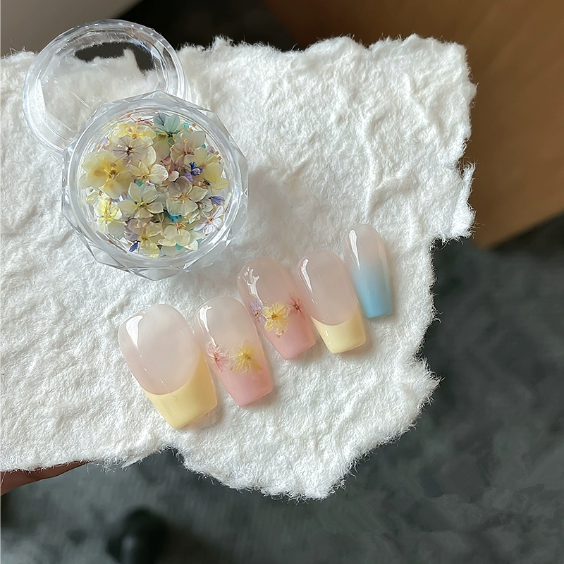 500 Dried Flowers Wholesale, V - Resin Art Instagram ulasan dan harga