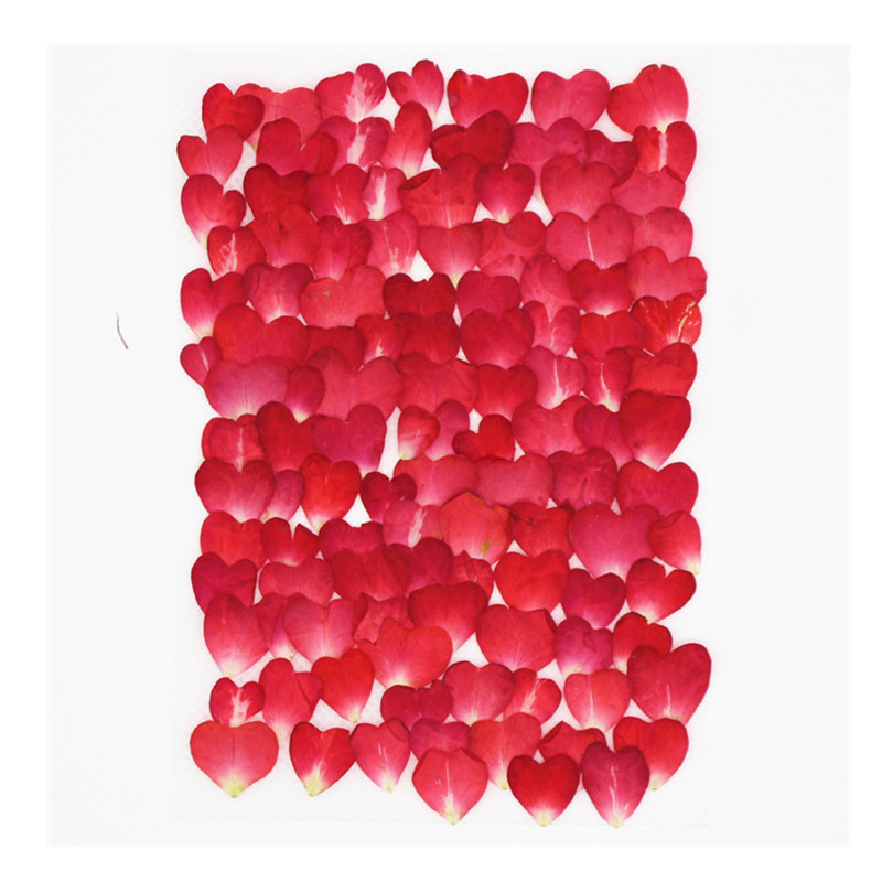 120Pcs Rose Petals Mixed Pack, - Resin Art Rose Petals ulasan dan harga