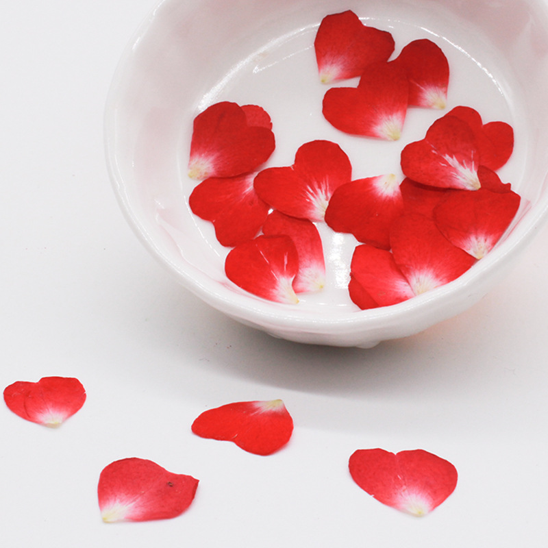 120Pcs Rose Petals Mixed Pack, - Resin Art Rose Petals ulasan dan harga