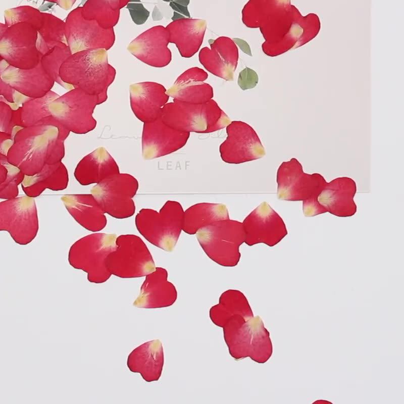 120Pcs Rose Petals Mixed Pack, - Resin Art Rose Petals ulasan dan harga