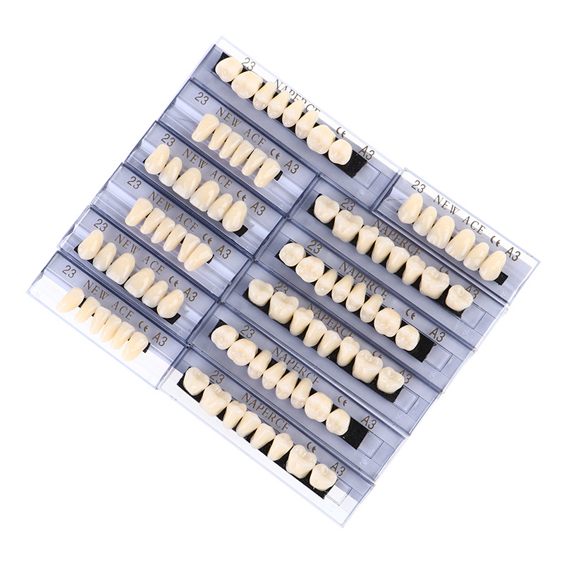 168pcs/box Dental Synthetic Re - Resin Art Case ulasan dan harga