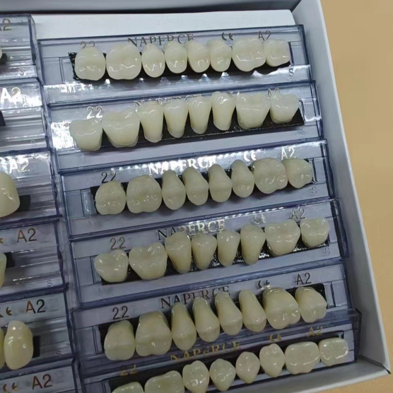 168pcs/box Dental Synthetic Re - Resin Art Case ulasan dan harga