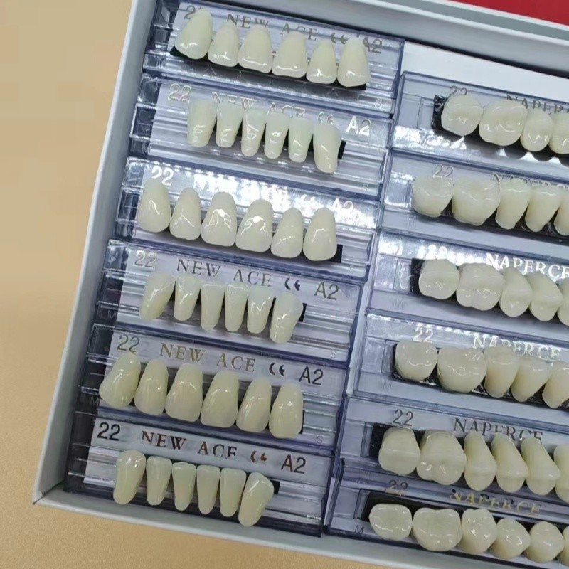 168pcs/box Dental Synthetic Re - Resin Art Case ulasan dan harga