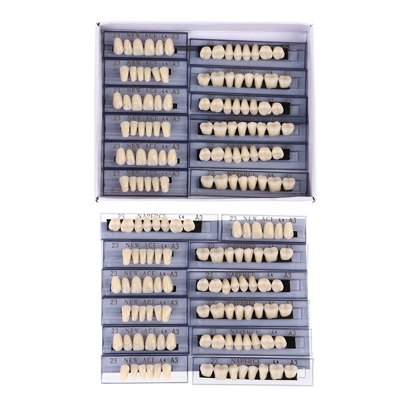 168pcs/box Dental Synthetic Re - Resin Art Case ulasan dan harga
