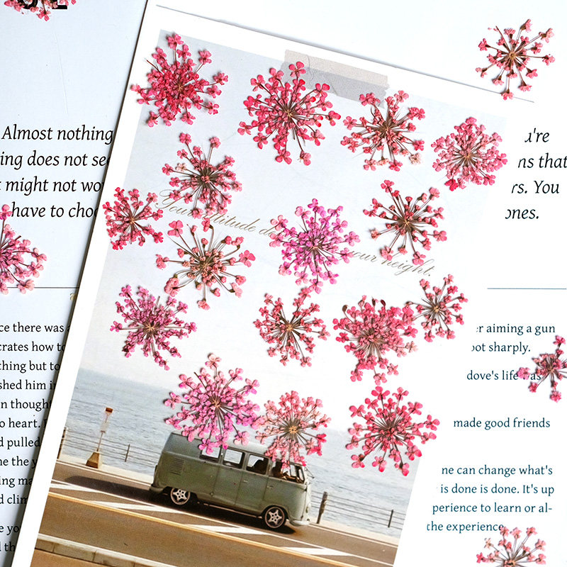 24pcs,2-2.5cm,nature Dyed Mini - Resin Art Frame ulasan dan harga