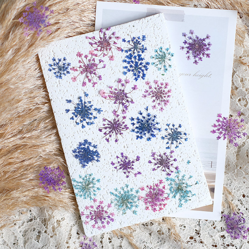 24pcs,2-2.5cm,nature Dyed Mini - Resin Art Frame ulasan dan harga