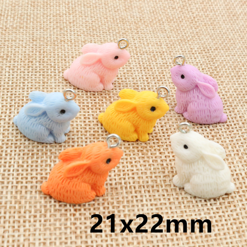 10PCS Resin Pendant Charms Rab - Resin Art Keychain ulasan dan harga